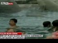 !!CHILDREN PADDLE WITH POLAR BEARS!!