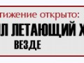 21 копия