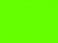 Ярко-зеленый	#66FF00	102	255	0