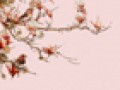 fon_9_3_arnusha