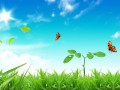 Grass-plants-ladybug-blue-sky-sun_1920x1080