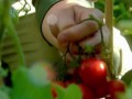 Консервация Спело-Зрело - российские продукты для всех