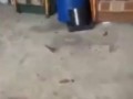 Праздник.