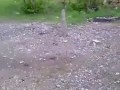 идиоты