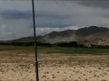 Бородавочник даёт прикурить талибам