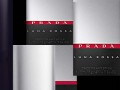 pocket_01_loong++
