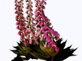 0_168780_7eced314_orig_yapfiles.ru