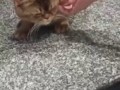 А ну идите сюда, ублюдки...