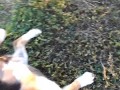 Нападения собаки