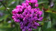 IMG_0044 копия