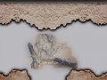 5ebildlinks