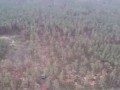 БМПТ Терминатор под Кременной
