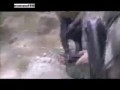 В этот раз был острым нож ...
