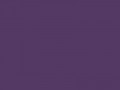 Умеренный фиолетовый	#543964	84	57	100