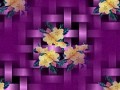 4_8