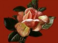 1__arnusha