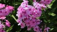 IMG_0016 копия
