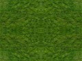 gras 2+
