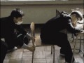 Chair-plastic-wrap-face-prank