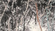 Jin Lianjing.