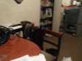 Fungif_19 (1)