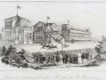 1.Journal des Haras. Скачки в Царском Селе близ Петербурга.1846