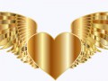 heart-2789686_960_720