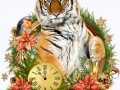 1тигр