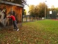 Упорный парень