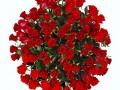 7f432ab3a8689105908940410ec56b91