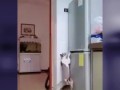 sp_mycdn_me-image (1)
