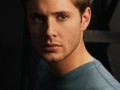 Supernatural 231