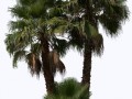 _nochnaya_2_yapfiles.ru