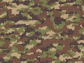 optimized-5bpn