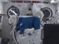 животные в невесомости