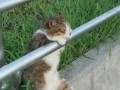 А Я Пожалуй Тут Посижу. LOL