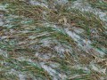 depositphotos_208496510-stock-photo-grass-snow-seamless-texture-background