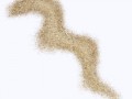 0_fbfdd_5f3429d6_orig[1]