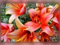 imgonline-com-ua-FairyTale-nnGAZCXFynPO