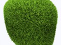 9a3c22a4e42b