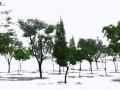 big_scene2_s