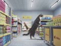 Netto-Katzen