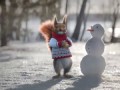 Новогодние заставки рекламы "Белки" (Первый Канал, 2016-2017)