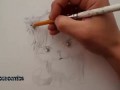 Рисуем котенка со скоростью света. Draw a kitten with the speed of light. 画一个小猫光速