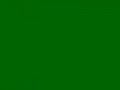 Травяной (Очень темный лимонный зеленый)	#006400	0	100	0