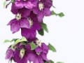 0_16888d_17a9999c_orig_yapfiles.ru