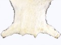 _medv_beli_yapfiles.ru+
