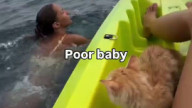 Poor baby fell into the water