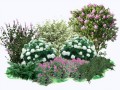 scale_2400