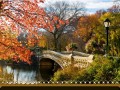 park_01